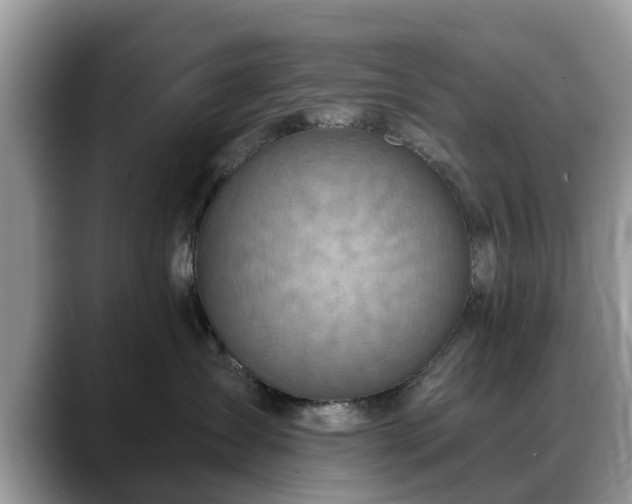 X0000088670431200706071503
