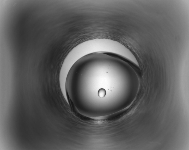 X0000088670432200706071503