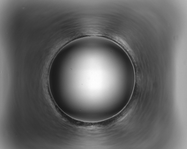 X0000088670433200706071503