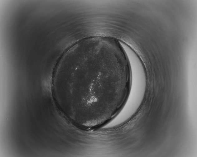 X0000088670434200706071503