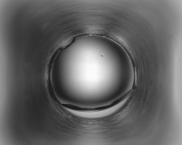 X0000088670435200706071503