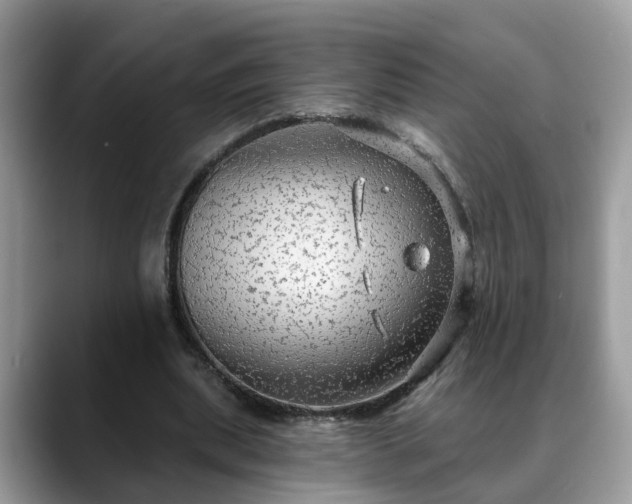 X0000088670439200706071503