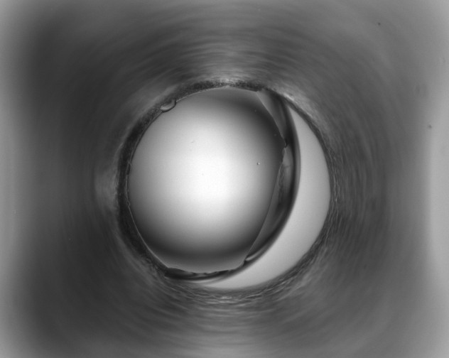 X0000088670440200706071503