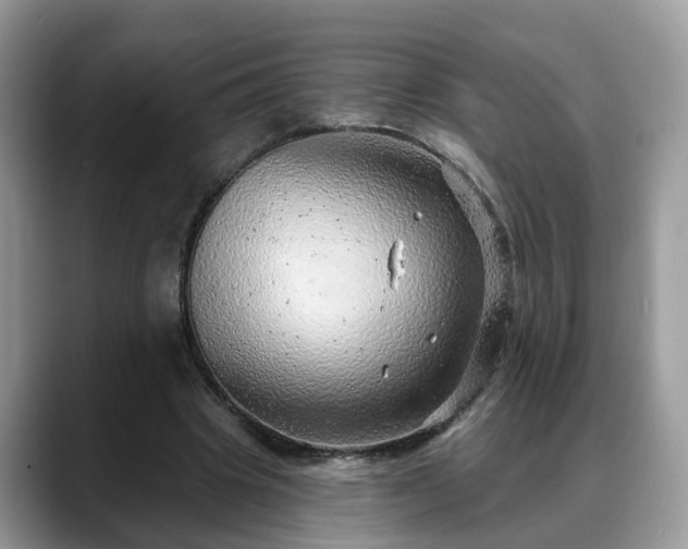 X0000088670441200706071503