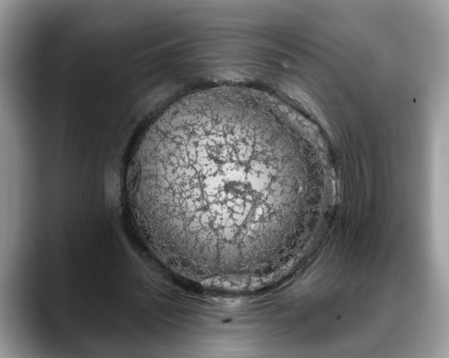 X0000088670444200706071503
