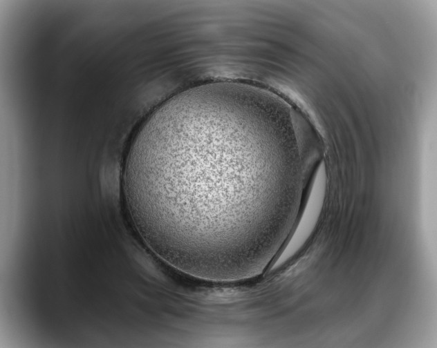 X0000088670445200706071503