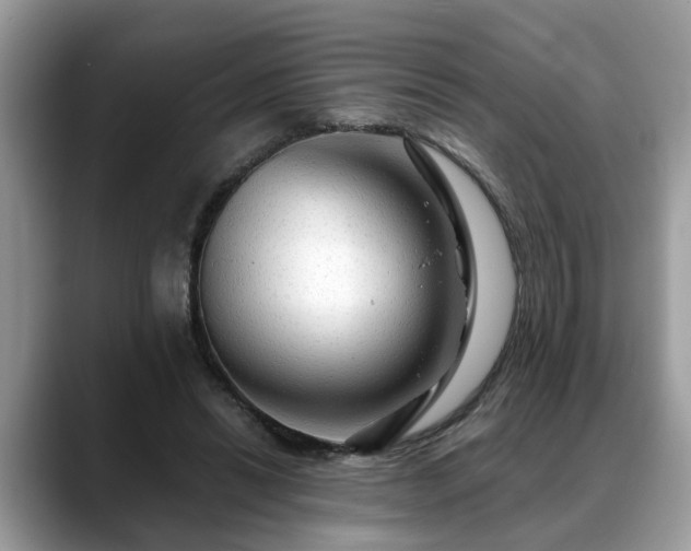 X0000088670446200706071503
