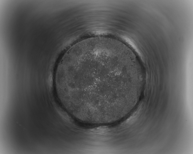X0000088670447200706071503