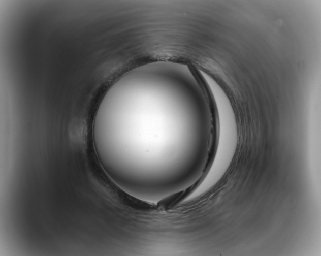 X0000088670448200706071503