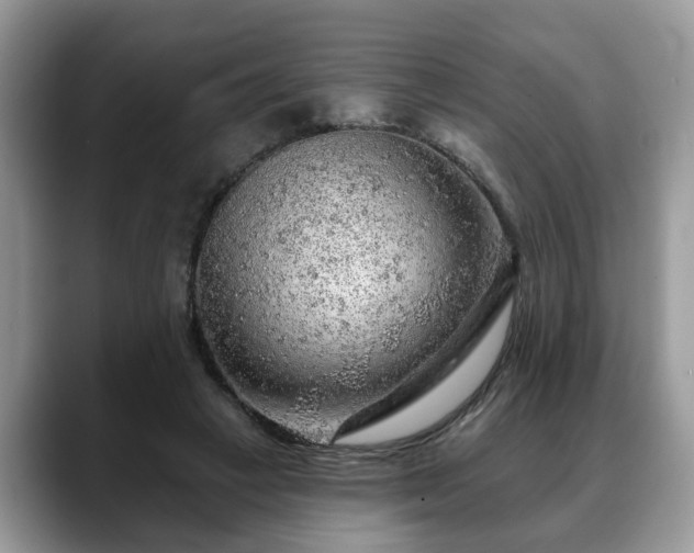 X0000088670449200706071503