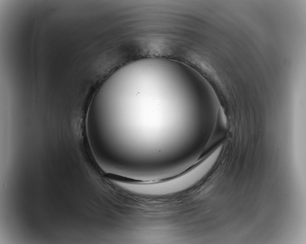 X0000088670450200706071503