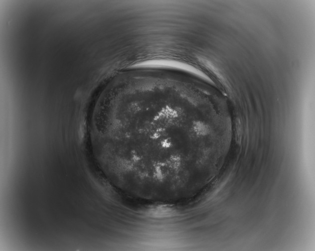 X0000088670451200706071503