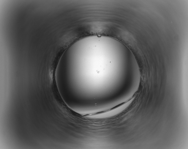X0000088670454200706071503
