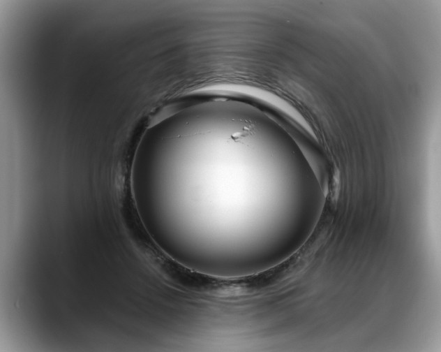 X0000088670456200706071503