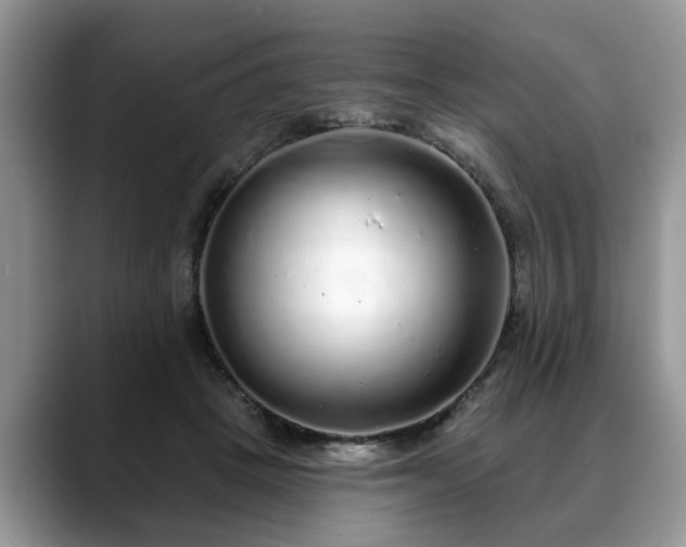 X0000088670457200706071503