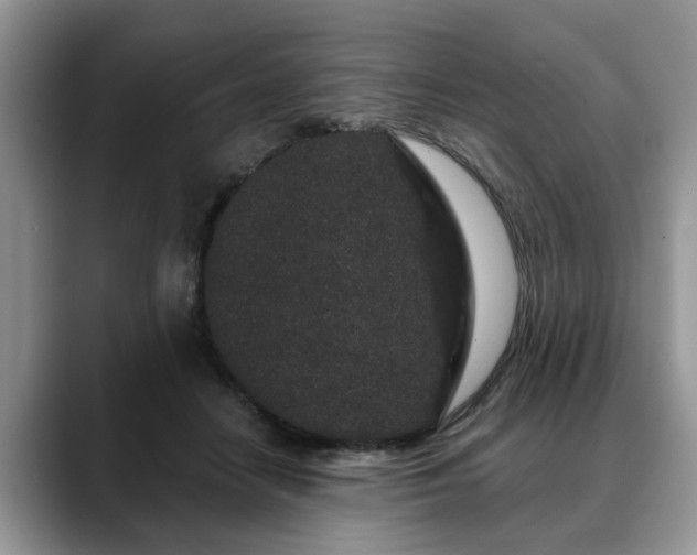 X0000088670458200706071503
