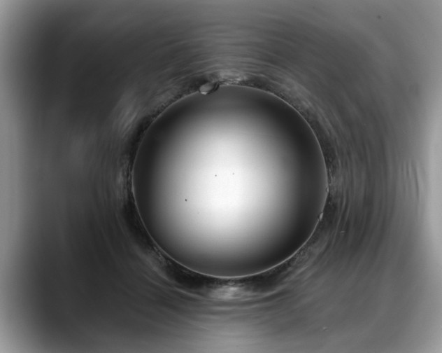 X0000088670460200706071503
