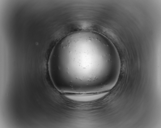 X0000088670461200706071503
