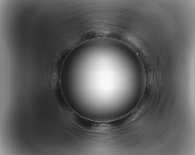 X0000088670463200706071503