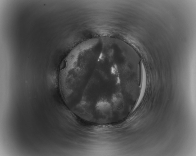 X0000088670465200706071503