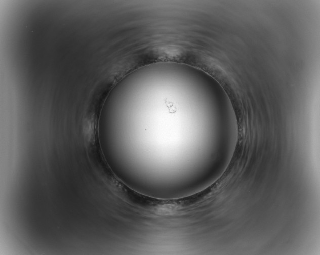 X0000088670468200706071503