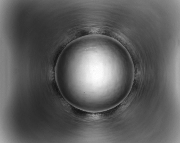 X0000088670469200706071503