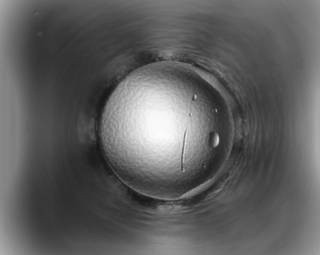 X0000088670470200706071503