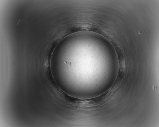 X0000088670472200706071503