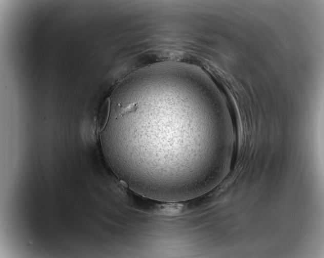 X0000088670474200706071503