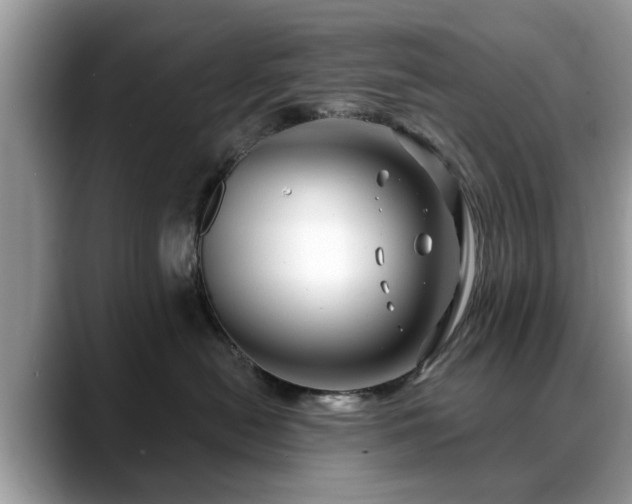 X0000088670478200706071503