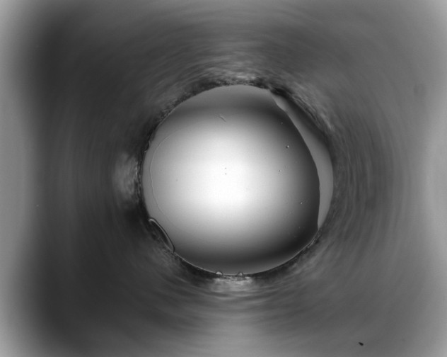 X0000088670480200706071503