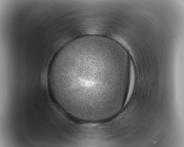 X0000088670482200706071503
