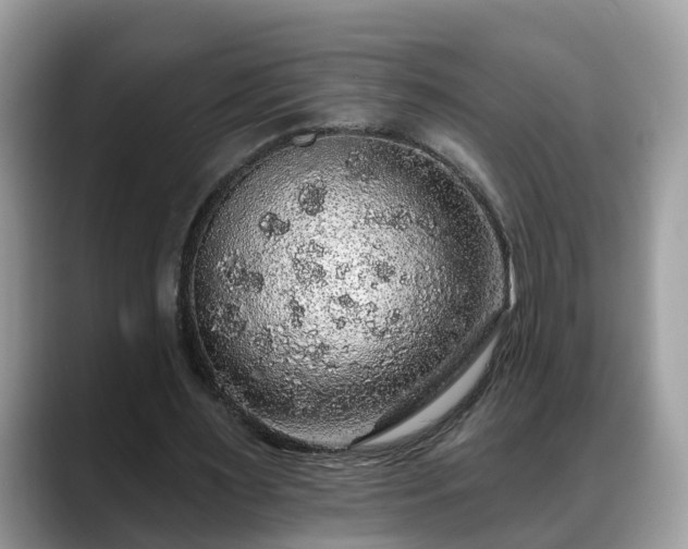 X0000088670483200706071503