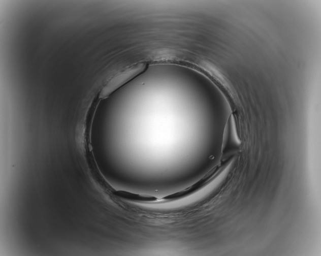 X0000088670485200706071503