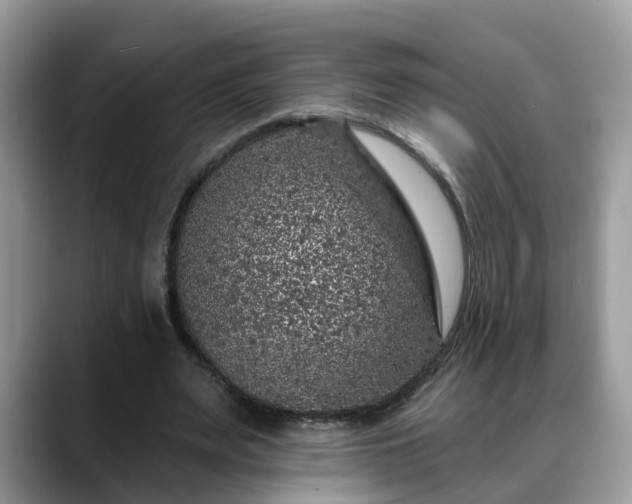 X0000088670487200706071502