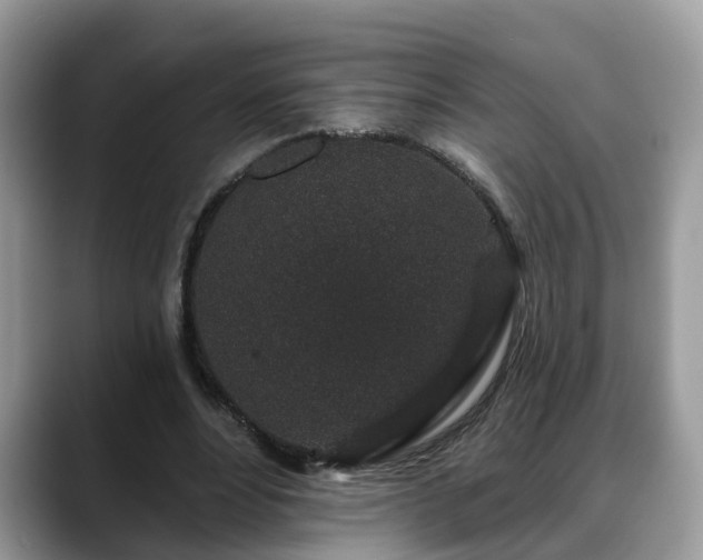 X0000088670488200706071502