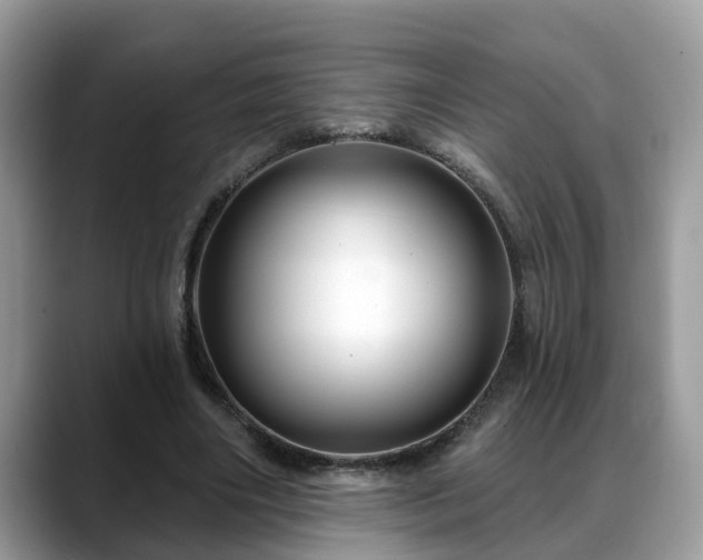 X0000088670490200706071502