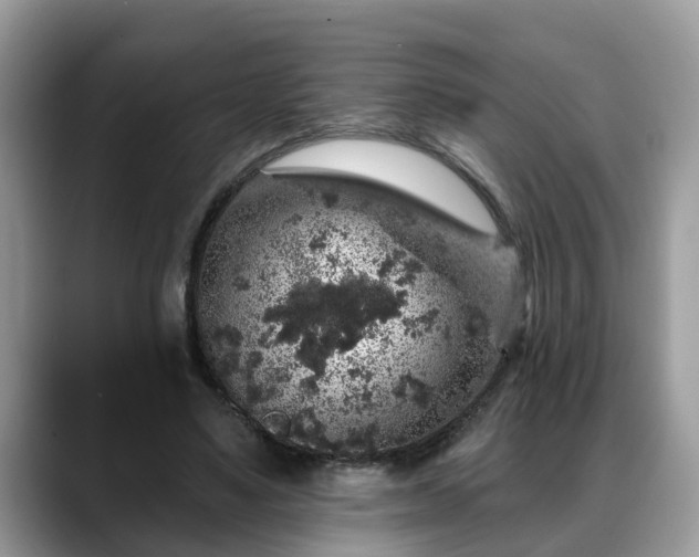X0000088670491200706071502