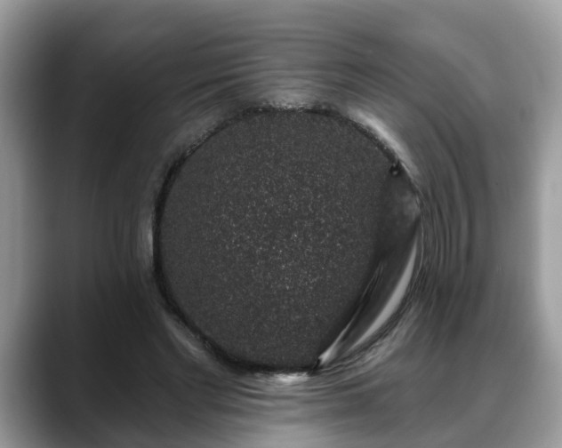 X0000088670493200706071502