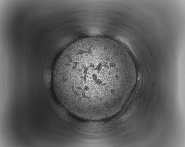X0000088670495200706071502