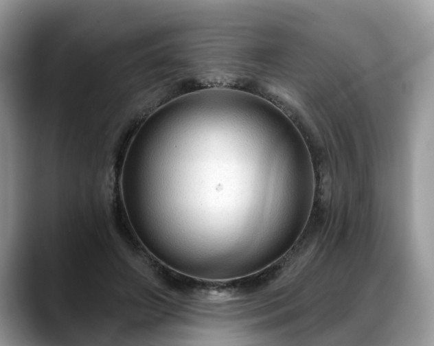 X0000088670498200706071502