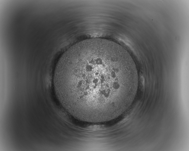 X0000088670499200706071502
