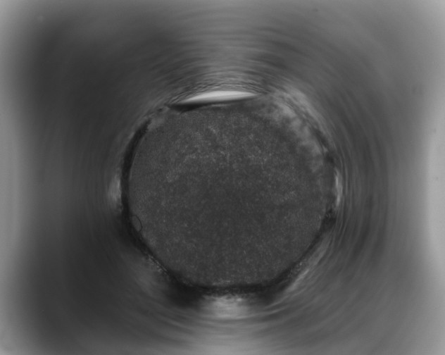 X0000088670500200706071502