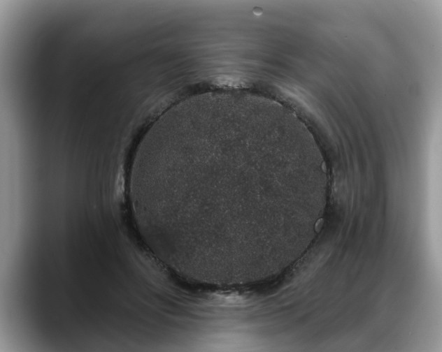 X0000088670502200706071502