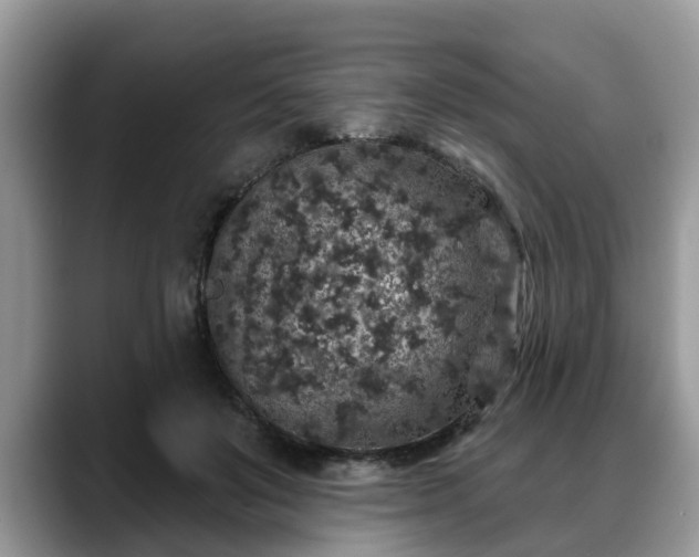 X0000088670503200706071502
