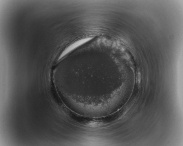 X0000088670504200706071502