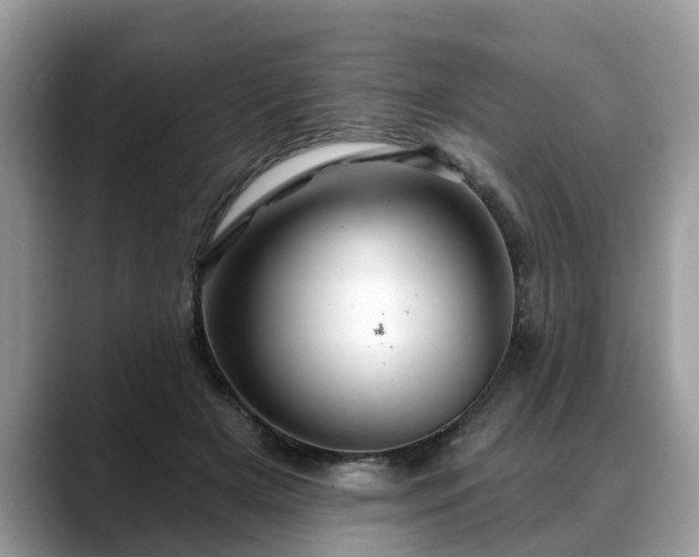 X0000088670505200706071502