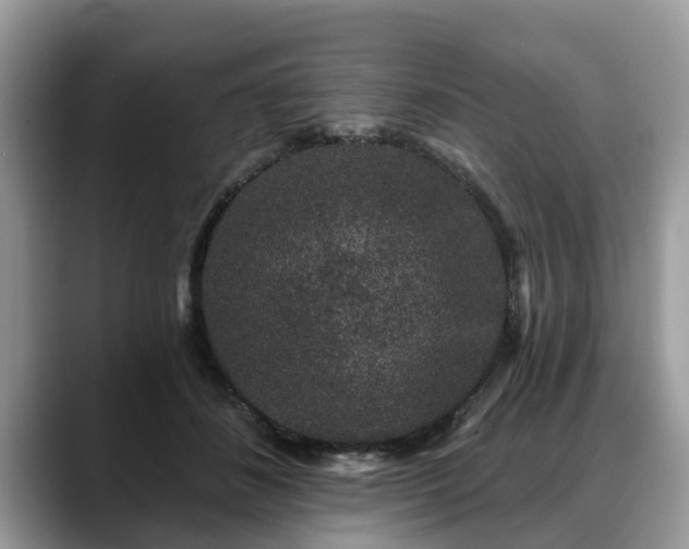 X0000088670508200706071502