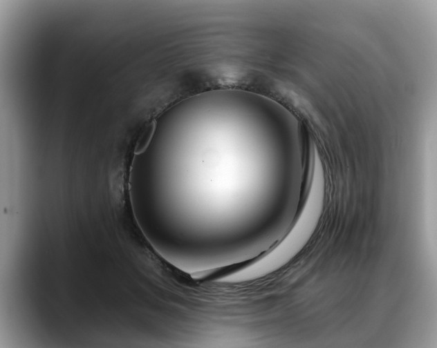 X0000088670509200706071502
