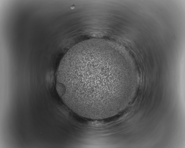 X0000088670511200706071502